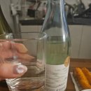 24 guesthouse 동대문마켓점 | 동대문 제일제당센터 CJ더마켓 / 에노테카 와인샵 (실레니 / 시로 와인 후기)