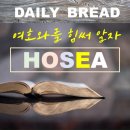 용봉동 20-8 이미지