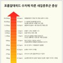 반딧불이민박 이미지