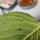 민락수변로 이미지