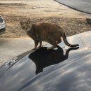 정주농장 이미지