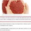 고지혈증의 이해와 관리 이미지