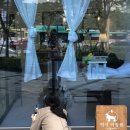 덕이미장원 이미지