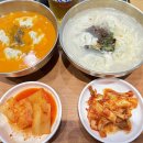 비바플렉스 이미지