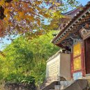 춤추는아리랑-꽃피우리라 | [경상남도 밀양시] 밀양아리랑대축제