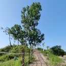 옥천 금강수변 친수공원-답사 트레킹-5월 번개모임2 이미지