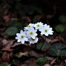 사직중학교 이미지