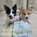 독사랑동물병원 | (강아지 사료 추천)엔토벳 독 인섹트 고단백질 사료 급여후기