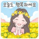 [학부모 수기 #39] 고교 자퇴→검정고시→해사대 입학, '도선사의 꿈' 향해 "휘어질지언정 부러지진 않겠다" 이미지