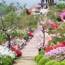 홍천시티투어 이미지