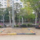 샘머리초교병설 이미지