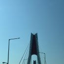 공룡알 팬션 횟집 | 영흥도회포장 공룡수산횟집 모듬회 후기