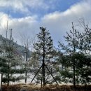 물안골송어회 이미지