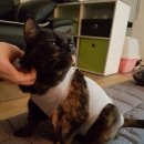 창현동물병원 이미지