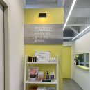 브라이튼독 이미지