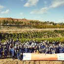 김형수7호 태양광발전소 | 〈한화 태양의 숲〉으로 미세먼지 저감활동에 앞장섭니다