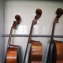 첼로(초등학교 2~6학년) 이미지