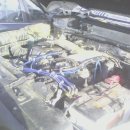 홍춘이가 차 고치는 집 이미지