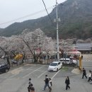 계룡산동학사스타 네이버블로그
