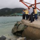 완도18호 아시아경제