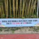 상대동 공영자전거무료대여소 이미지