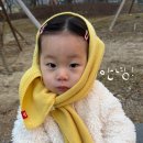 (주)에스오티도수운동치료연구소 | 1월 주간일기 1. 겨울잠