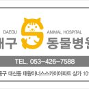 이수동물병원 이미지
