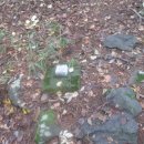 이동대원주유소 이미지