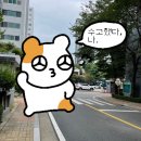 태평로또판매점 | 성남 태평 수진동 삼부아파트 매매 전세 초보 임장