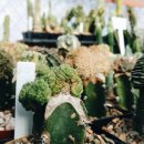 그린브릭 이미지