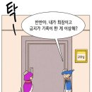 레인보우 팔레트 이미지