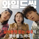 와일드인터네셔널 | 살아본적 없는 시대에 향수를 느끼다 와일드씽 Wild Sing(2026) 리뷰 후