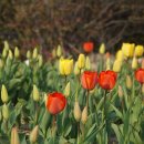 정부청사 입구(샘머리) 이미지