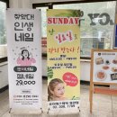 로이1441