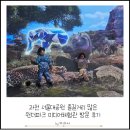 과천 서울대공원 즐길거리가 가득한 원더파크 미디어체험 방문후기