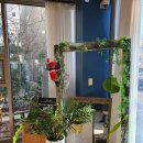 파인드 히어 이미지