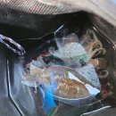 해마루 | [안면도좌대] 갑오징어 쭈꾸미 잡을 수 있는 안면도 해마루좌대 내돈내산 후기