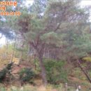 양덕동375 이미지