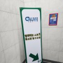 얼라이브스포츠매헌