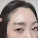 월드헤어로드 | [공지] [강남 왁싱샵 추천] 인생 헤어라인 왁싱 찾음...원장님께 관리받은 후기 ‘빅토리아 왁싱 강남점'