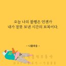 수자인홈런공인중개사사무소 이미지