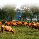 드라이21 이미지