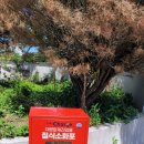 묵호농협 하나로마트 평릉점