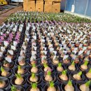 춘식농장 이미지