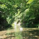 개인약수 이미지