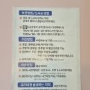또바기떡집 | 인천떡집 부평 또바기떡방 올리브치즈설기 주문 후기｜답례품 식사대용 설날선물 추천