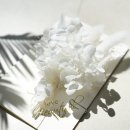 성산읍납골당(공설묘지) | 인천가족공원 납골당 꽃, 직접 전달이 가능한 꽃치다플라워의 특별한 서비스!