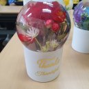 강원특별자치도 장애인복지회 이미지