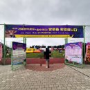 가야한우농장 | 제14회 거제 둔덕 포도 &amp; 한우 축제 후기 2025.09.13~14