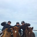 함안군 승마공원 청사 | 제주 서쪽 승마 신창풍차해안행복승마 40분 코스 가격 후기